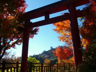 A large torii gate welcomes visitors to the village of Mitake.