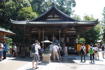 <p>Temple area at Kinkaku-ji</p>