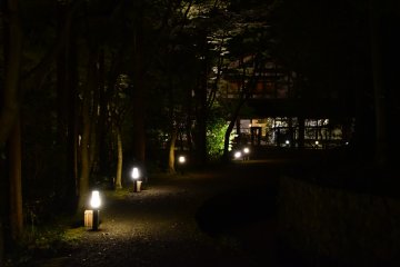 <p>Night-time view of Wakadori</p>