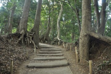 <p>From Yakuoin to the top is only a short climb&nbsp;</p>