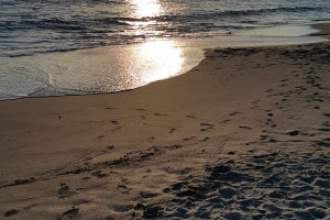 늦은 오후의 햇살에 빛나는 시치리가하마 해변.