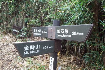 <p>Trail signs with hiking time</p>