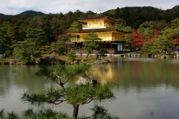 <p>วัดคินคะคุจิ ( Kinkakuji Temple ) หรือ วัดพลับพลาทอง ( Golden Pavilion )</p>