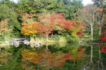<p>Maples are reflected in the garden pond</p>