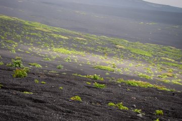 <p>Volcanic landscape</p>