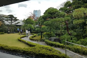 <p>롯본기 모리 타워가 보이는 정원.</p>