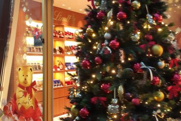 <p>초컬릿 가게 린츠 앞에서 반짝거리는&nbsp;크리스마스 트리</p>