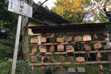 <p>This is where people hang their wishes on a wooden plaque called ema.</p>