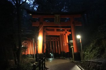 ศาลเจ้า Fushimi Inari Taisha ในยามราตรี
