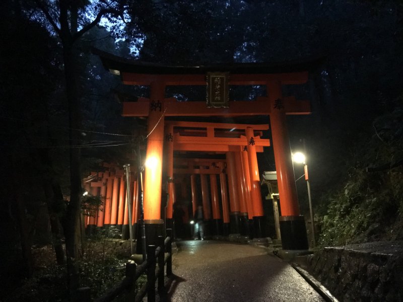 <p>The torii (gate) path is open all night long, but it is unusual for people to climb up at night, especially when it is raining...</p>