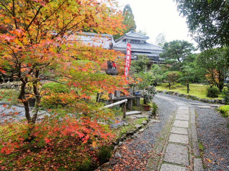 <p>The path leading into Danrin-ji&#39;s small garden</p>