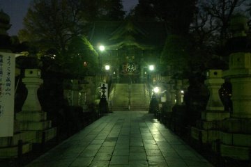<p>Sandō, or the pathway towards the main shrine.</p>