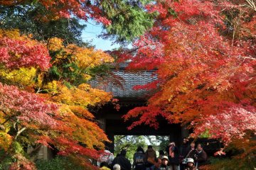 Autumn at Kamakura's Engaku-ji
