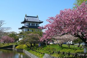 The castle grounds are one of the Top 100 Cherry Blossom Spots in Japan
