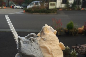 <p>Black Sesame and Rum Raisin gelato from an authentic little store!</p>
