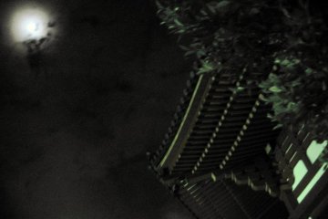 <p>ภาพวัดโคฟุกุจิสวยงามยามค่ำคืน</p>