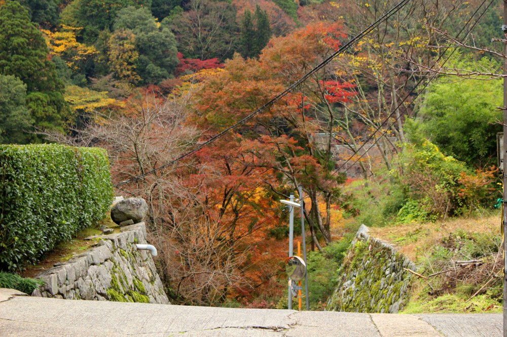 The driveway at the top of Tonomine Pass leading to Tanzan Shrine
