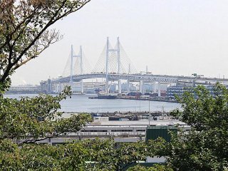 Ngắm nhìn khung cảnh đẹp đến kinh ngạc của cầu vịnh Yokohama từ công viên Đồi Pháp