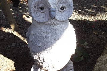 <p>Why not? A big owl statue</p>
