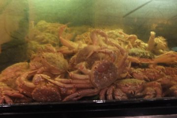 Live crabs in the tank