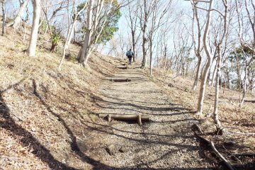 Trail at Mt Makuyama