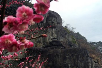 The big Buddha is located in a temple in Nokogiriyama.