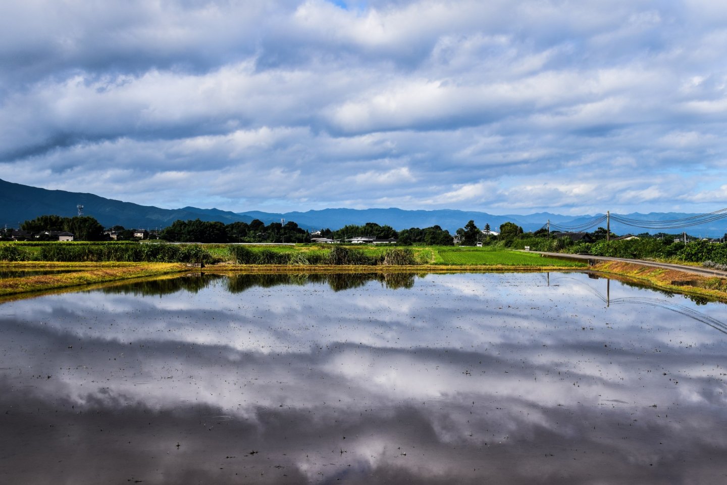 Clouds reflecting in a rice field