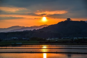 Sunset over the rice fields