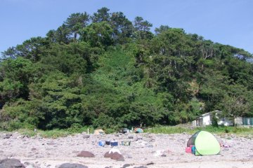 Forest and beach