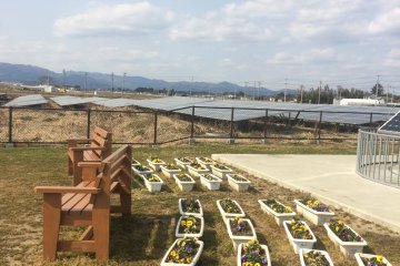 Solar Agripark in Fukushima