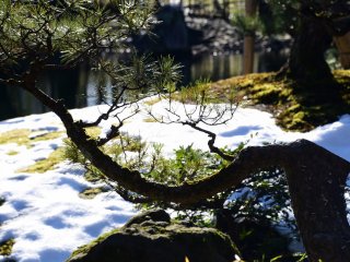 雪の残る養浩館の日本庭園