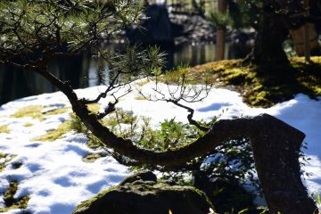 Yokokan Garden was still half-covered with snow