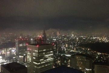 Can you spot the Tokyo Tower in the distance?