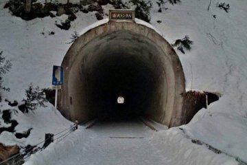 Tunnel from the Night Hike