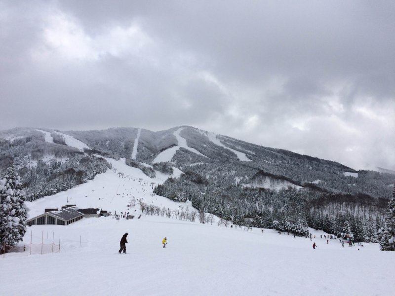 ผู้คนมากมายแวะมาที่ Katsuyama Ski Jam สกีรีสอร์ทที่ใหญ่ที่สุดและมีชื่อเสีองที่สุดในจังหวัดฟุคุอิ 