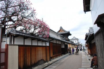 Street in front of Koshoji Betsuin temple.