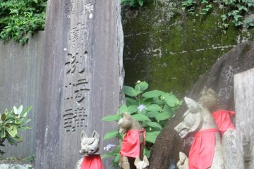 Wolves and wild dogs are common sights at Japanese mountain temples