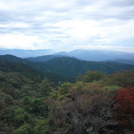 การเดินทางสู่ภูเขาคอนโกะ