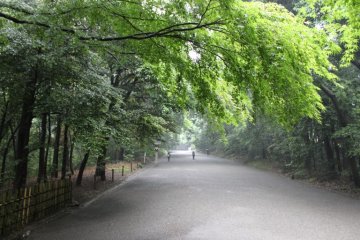 The gravel path to Meiji Shrine is lined with greenery on both sides .