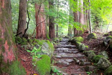 Takino-o Path in Nikko