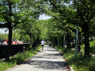 Công viên Kemasakuranomiya là một nơi tuyệt vời để chạy bộ