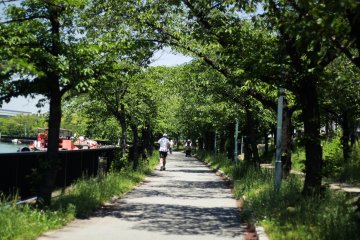 Kemasakuranomiya Park is a good place for jogging