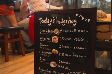 Hedgehog menu