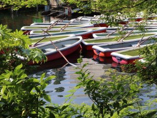 Boats docked on Ingoshira lake