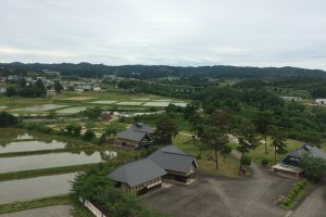 Beautiful rice fields by the park