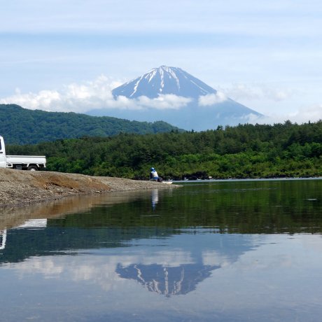 Núi Phú Sĩ nhìn từ hồ Saiko