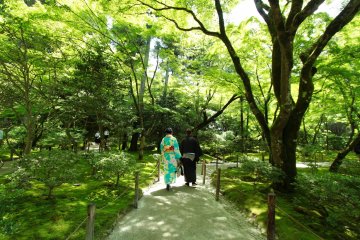 A couple wearing kimono strolling inside the Zen temple