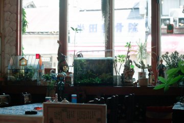 Greenhouse, aquarium, figurines and fake plants on display