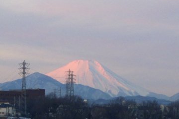 The first rays of sunrise hit Mt. Fuji for a few precious minutes