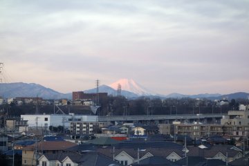 The mountain shines a rose pink colour making Mt. Fuji stand out from afar